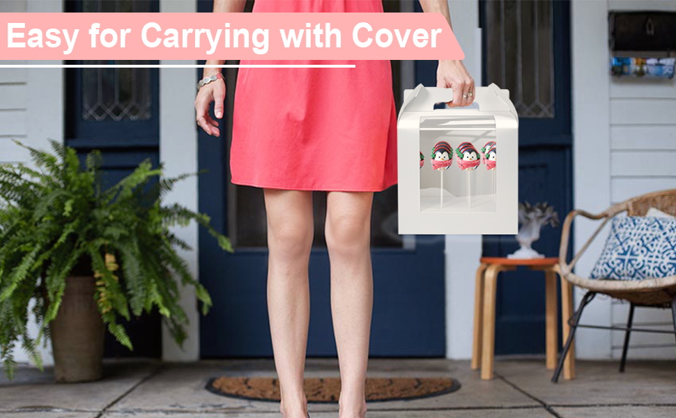 Vowcarol Portable Cake Pop Holder Boxes CakePop Display