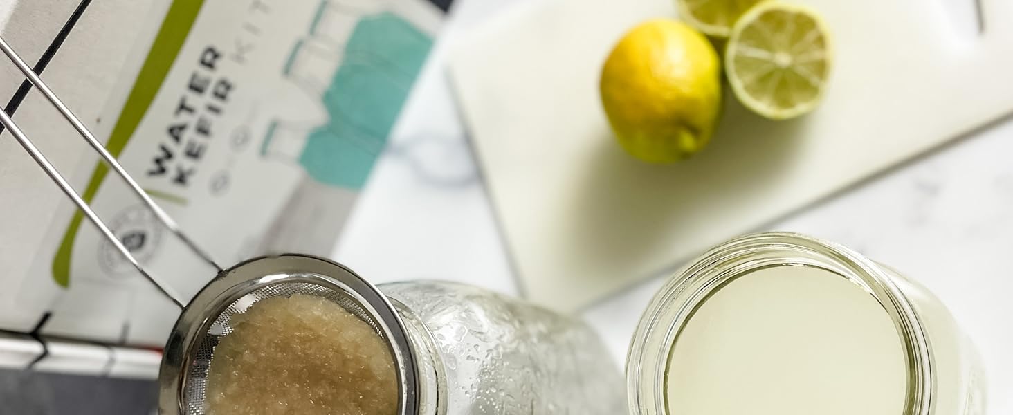 water kefir kit with jars of kefir and strained grains to the side and lemons in corner; kefir grain