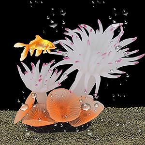 Simulation Coral Aquatic Plants