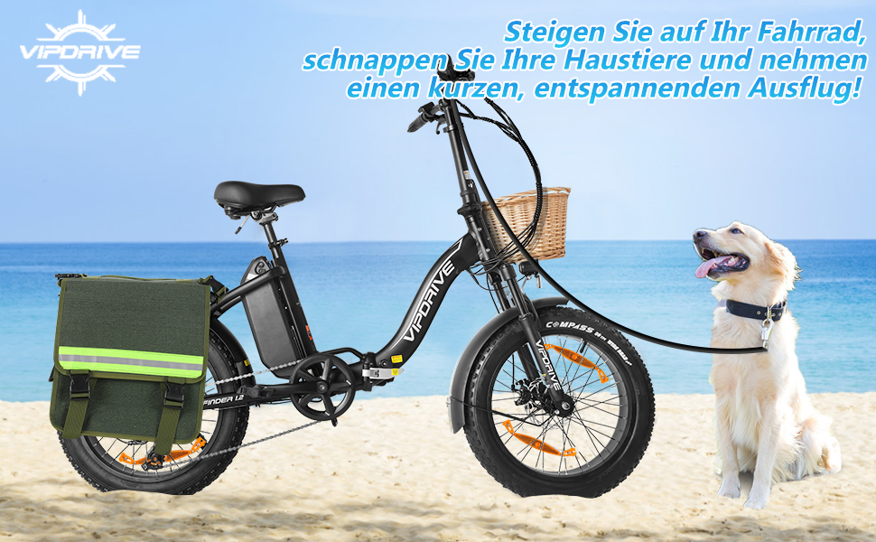 ebike