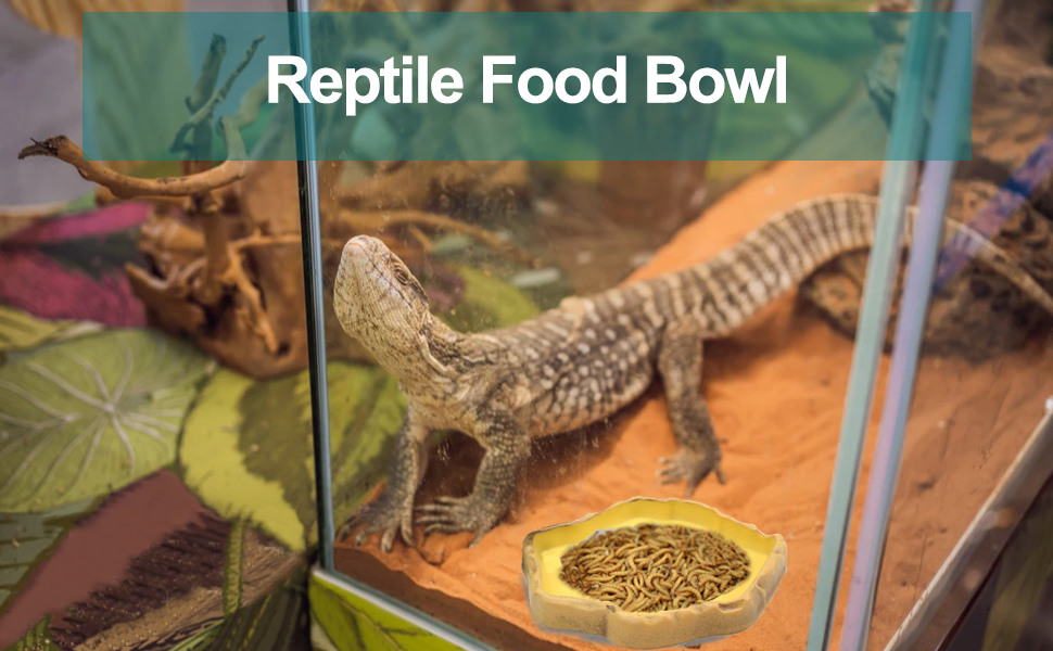 Mechpia Reptile Food Dish Bowl, Terrarium Bowl (5" l x 4.4