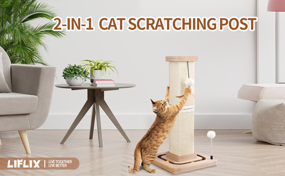 cat scratching post