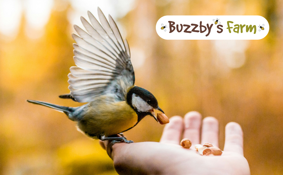 Large manufacture image 4