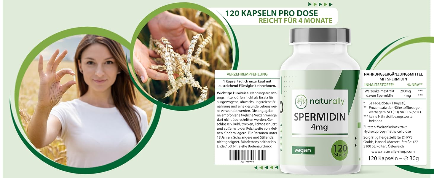 Spermidin Desktop Bild 5