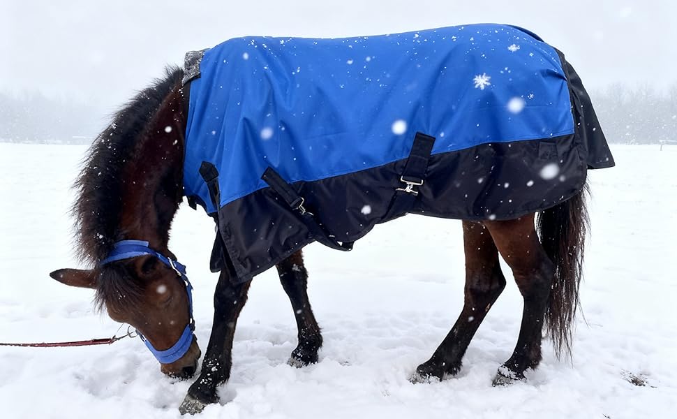 pony winter blankets