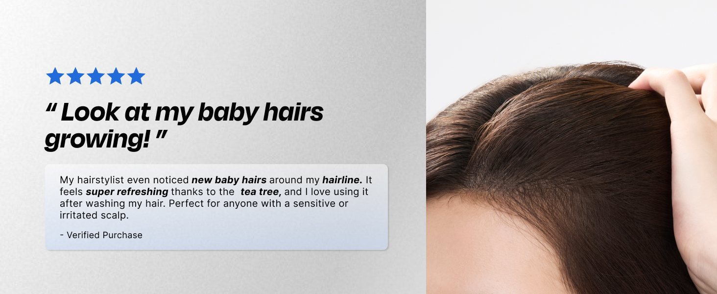 Navigation Carousel(PC)