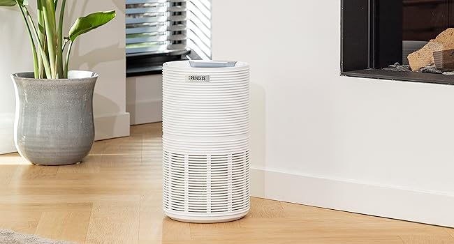 air purifier; princess; smart 