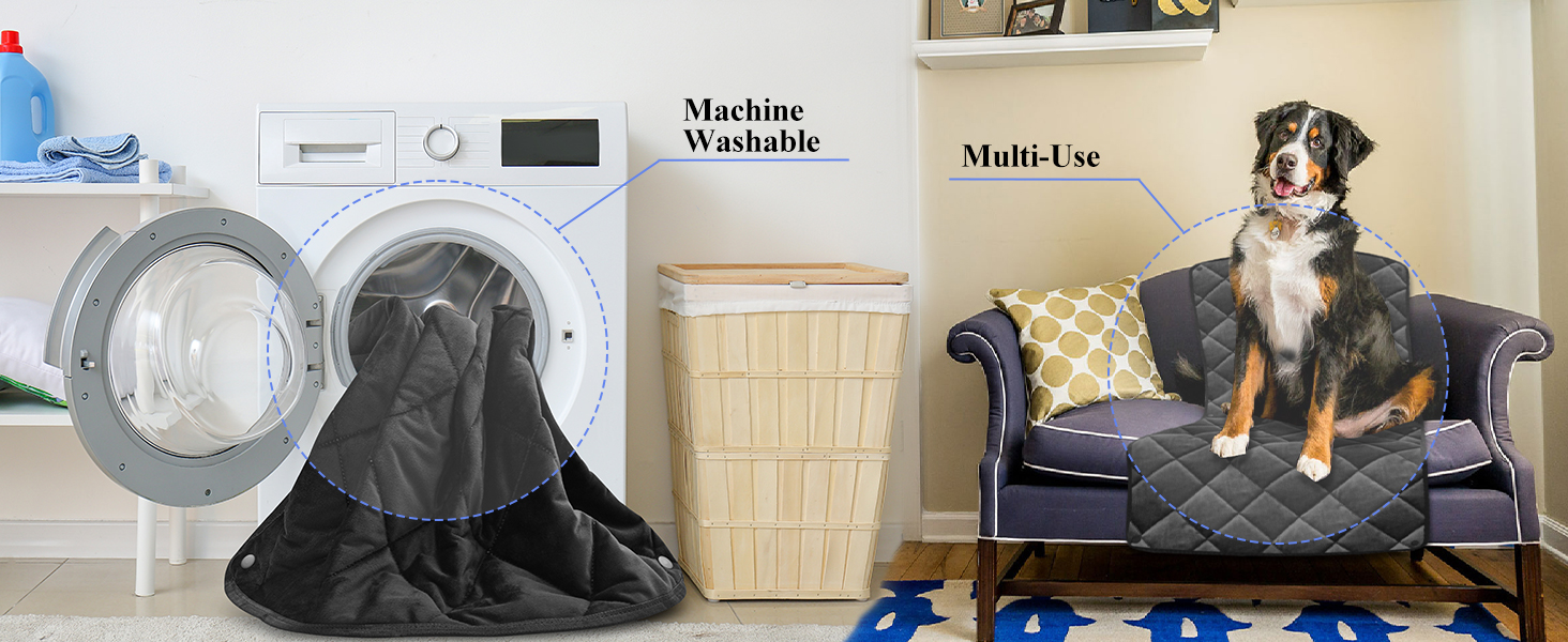 Back Seat Extender for Dogs