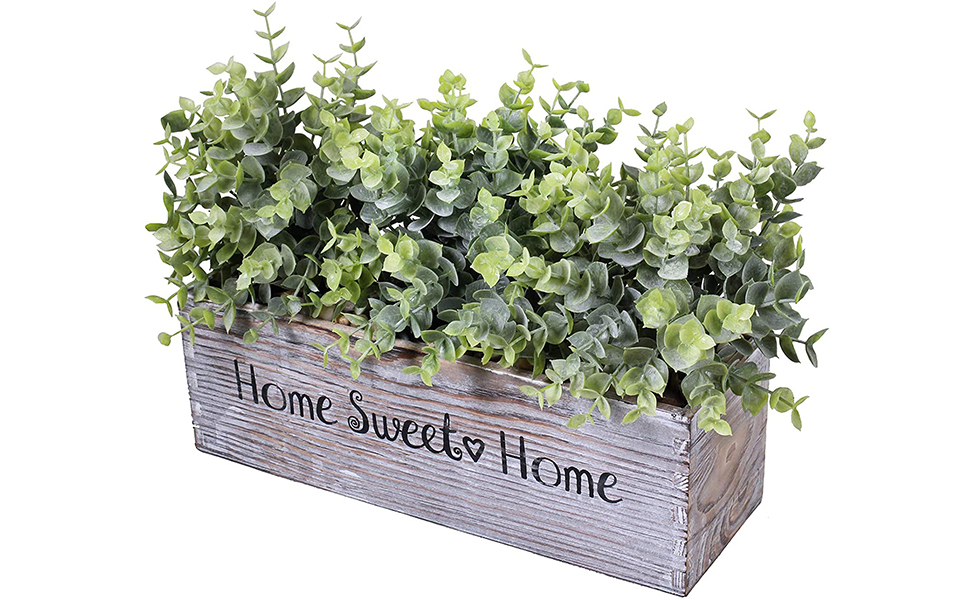 1 Pcs Wooden Potted Eucalyptus Plant Greenery Arrangement 