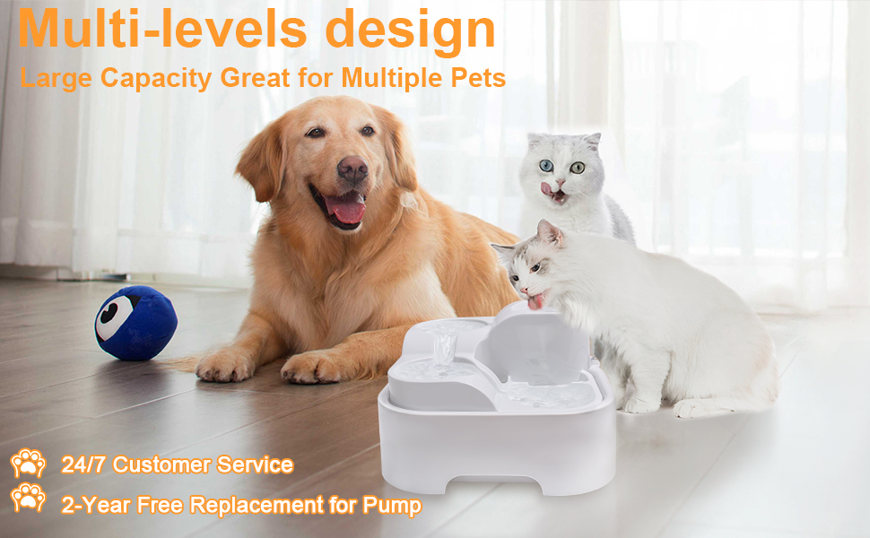 cat water fountains