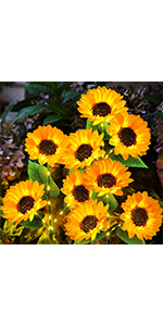 solar sunflower lights
