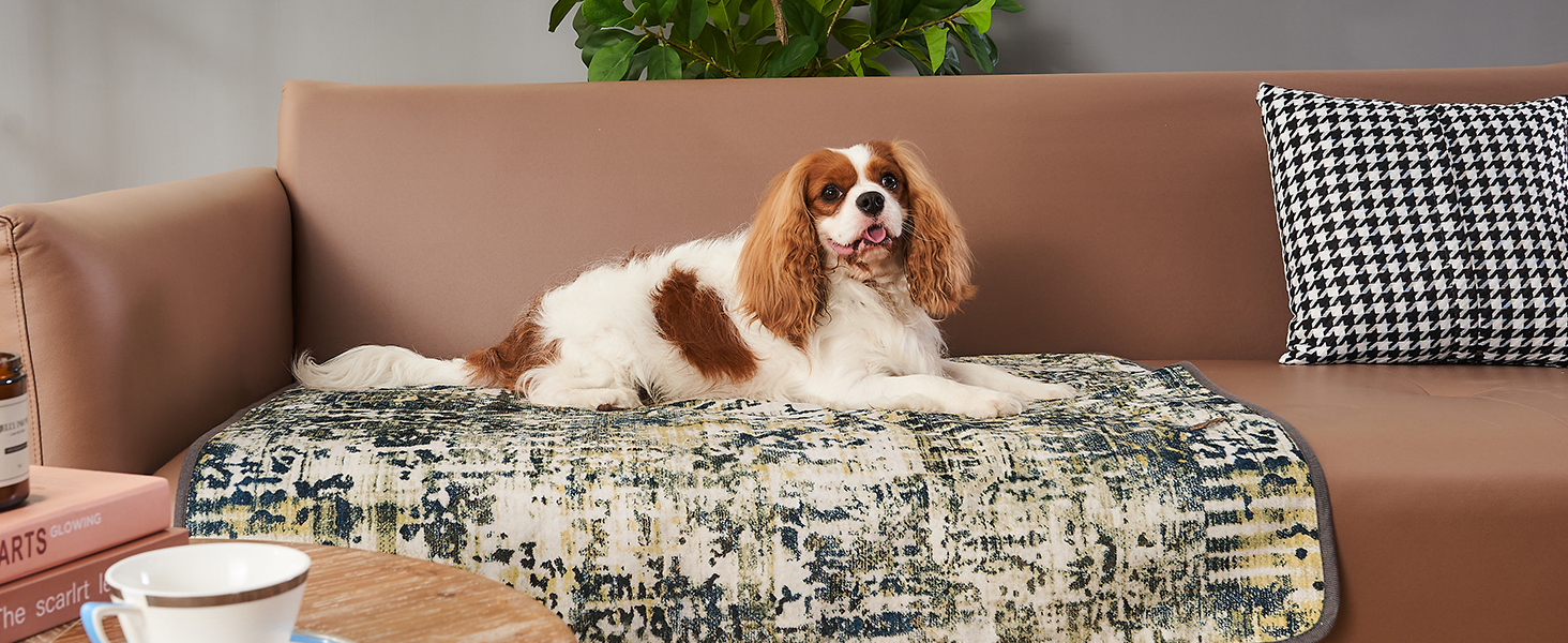 couch cover