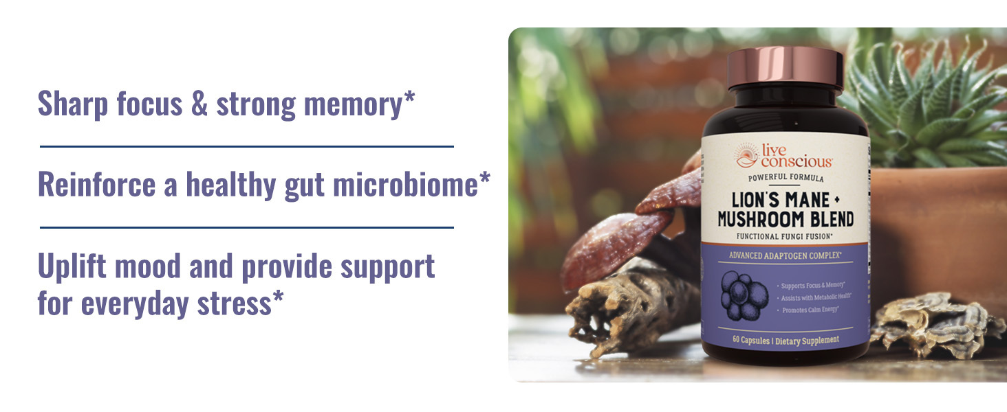 Lions Mane and Mushroom Blend