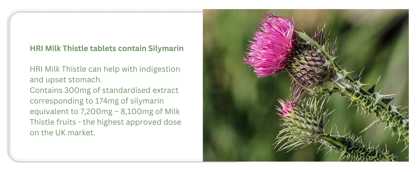 max maximum tincture powder tea dogs trapped wind bloated bloating cleanse hri silymarin indulgence
