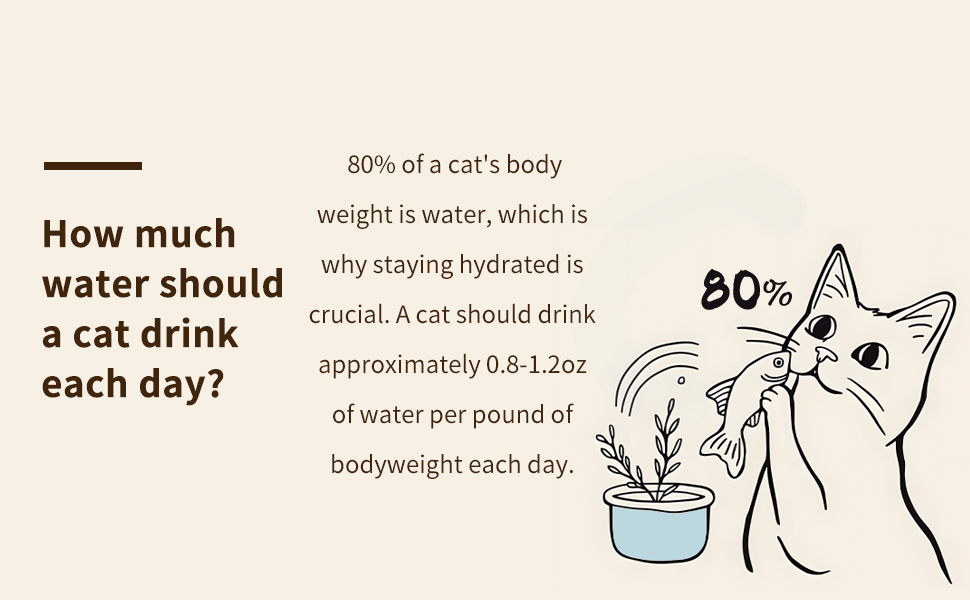 cat fountain stainless steel