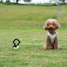 360°Exploration pets with complete circular movement in outdoor spaces no leash entanglement risks