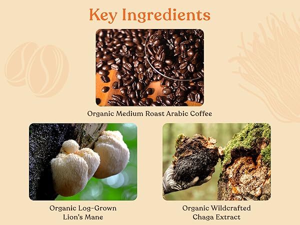 organic medium roast arabica coffee, lions mane, and wildcrafted chaga extract