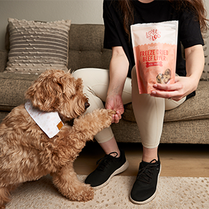 beef liver for dogs freeze dried beef liver for dogs dog treats beef liver dog treats freeze dried