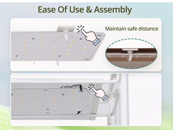 Grow Lights for Indoor Plants