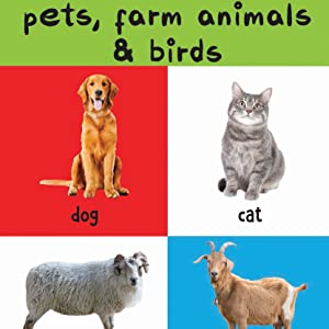 My First 4 In 1 One Wild Animals, Pet and Farm Animals, Birds, Sea Animals: Padded Board Books 
