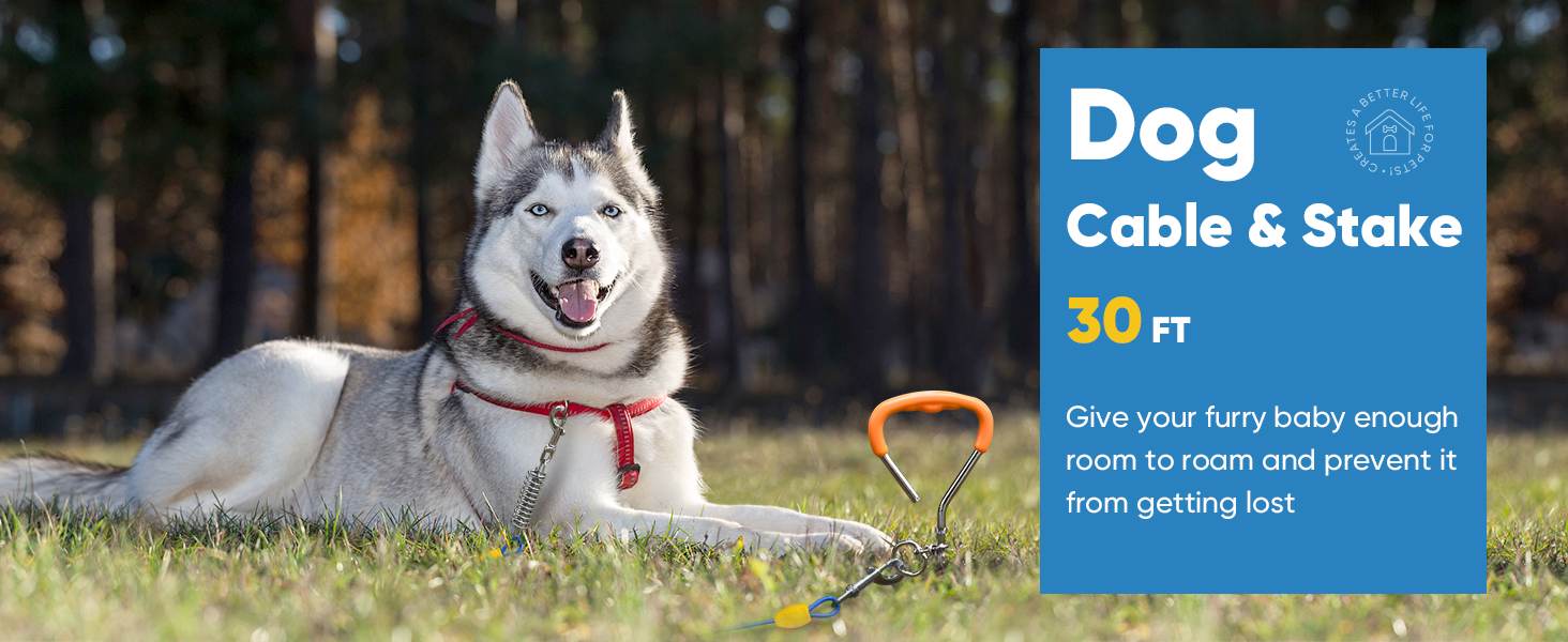 dog tie out cable and stake
