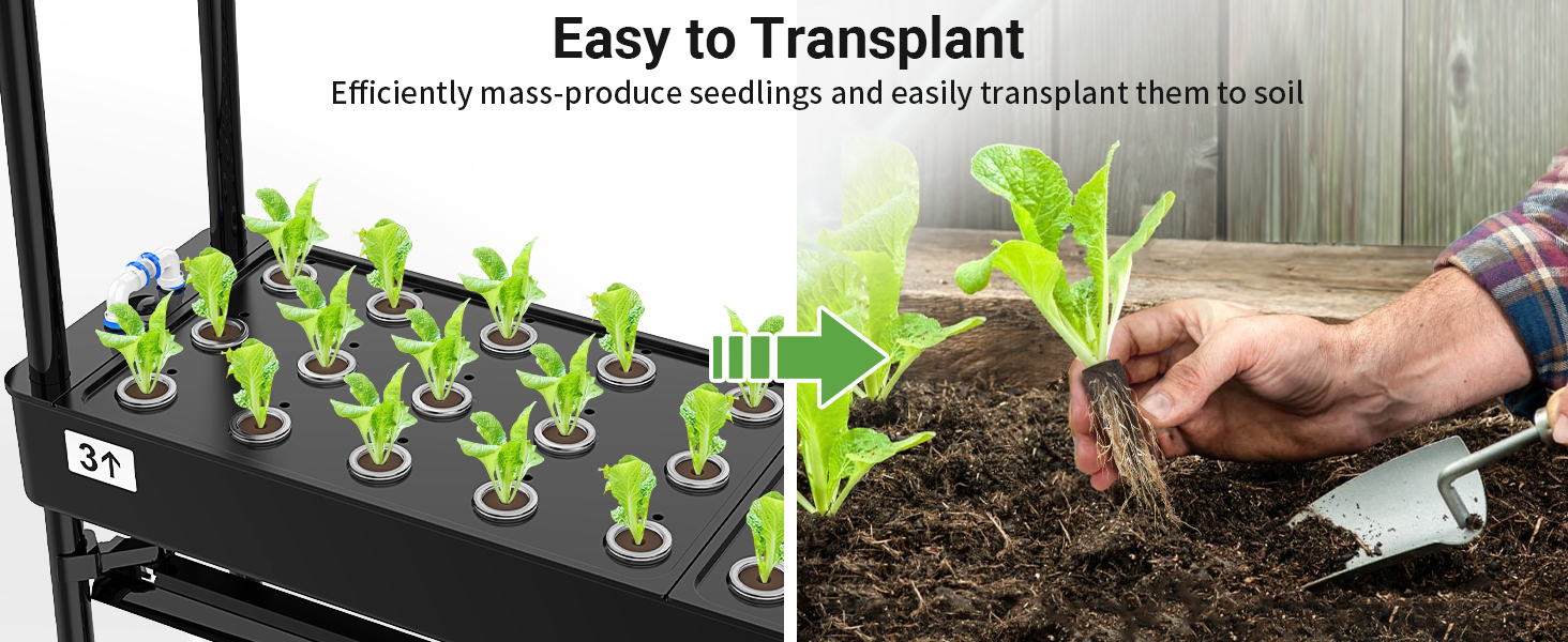 Easy to Transplant