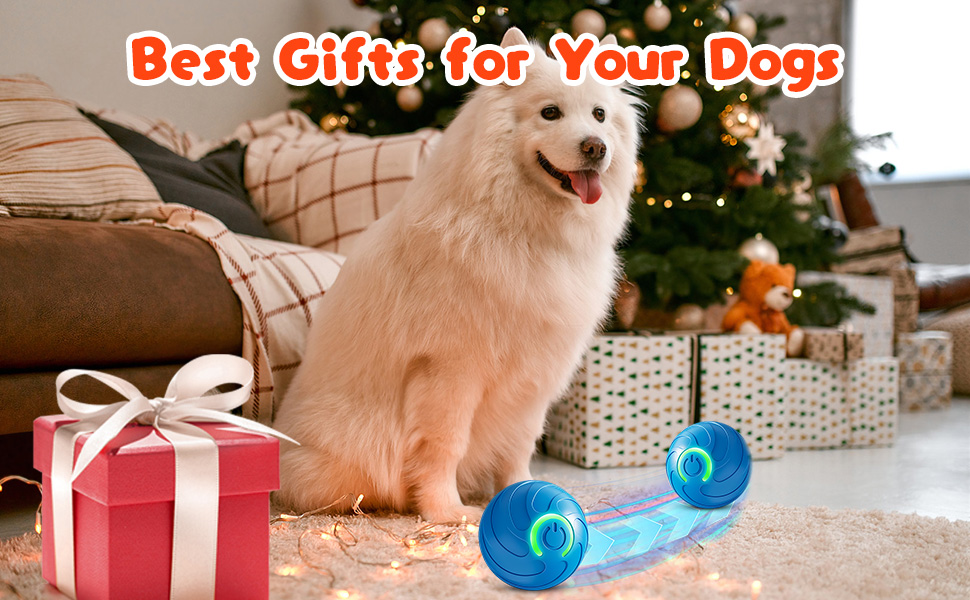 Duraspin Balls for Large Dogs