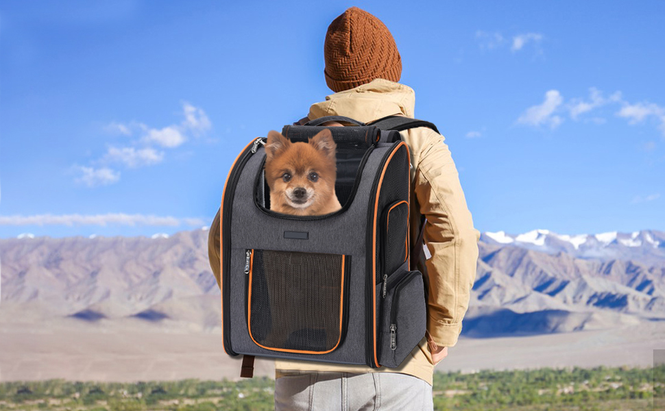 Cat Backpack Carrier, Dog Backpack Carrier for Small Dogs