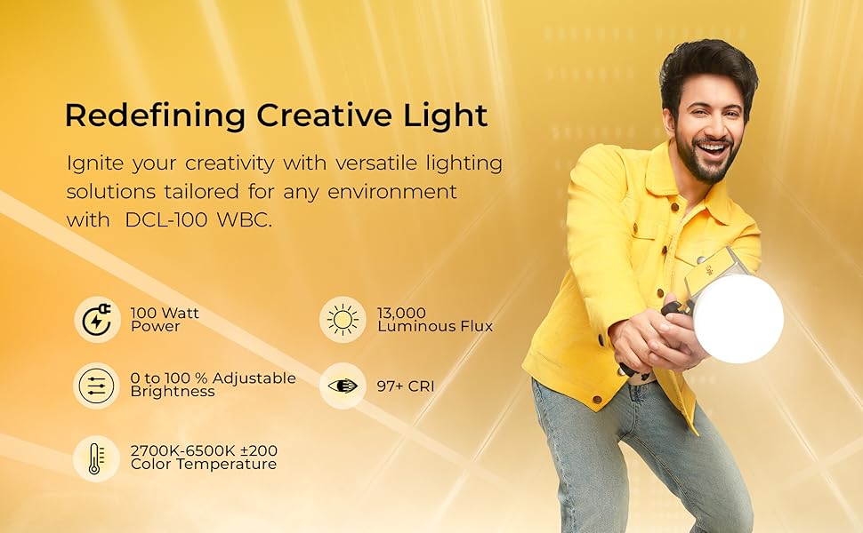 digitek 100w continuous light