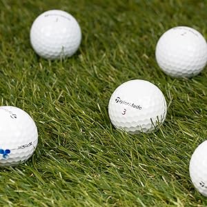 TP5x Green turf grass