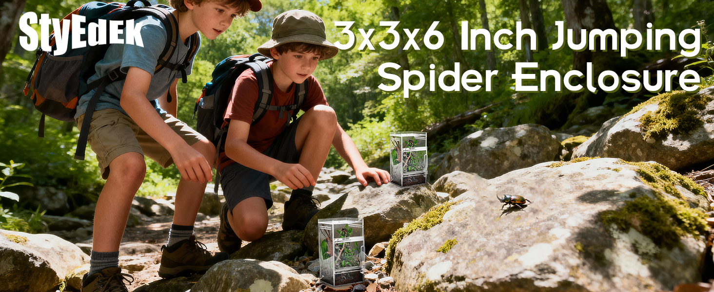 jumping spider enclosure