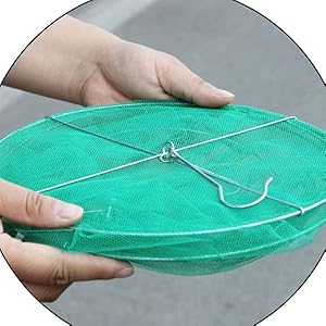 Ranch Fly Trap with Bait Tray