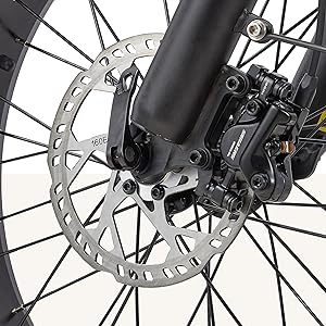 Dual disc brake Elektrofahrrad