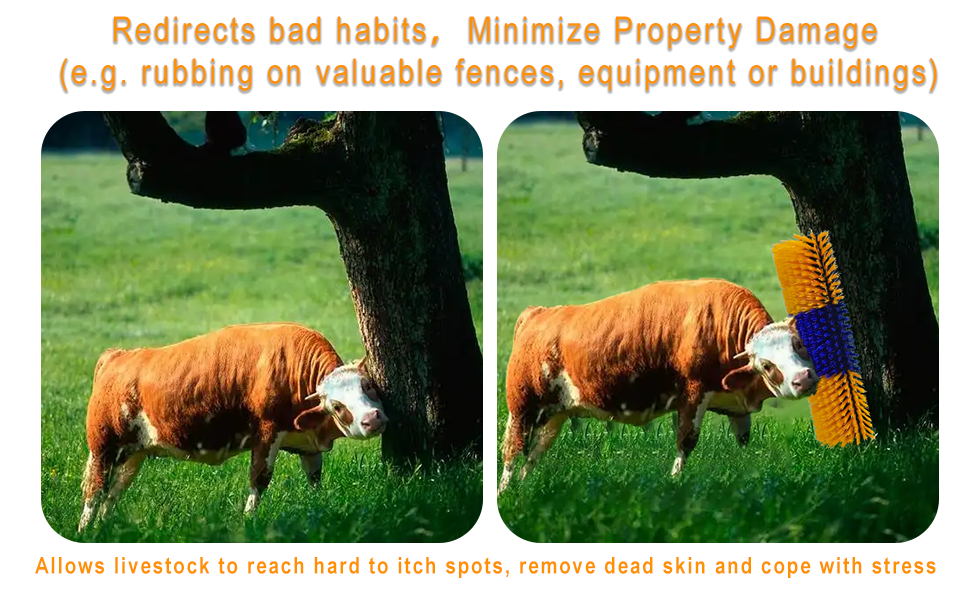 livestock brushes for scratching post