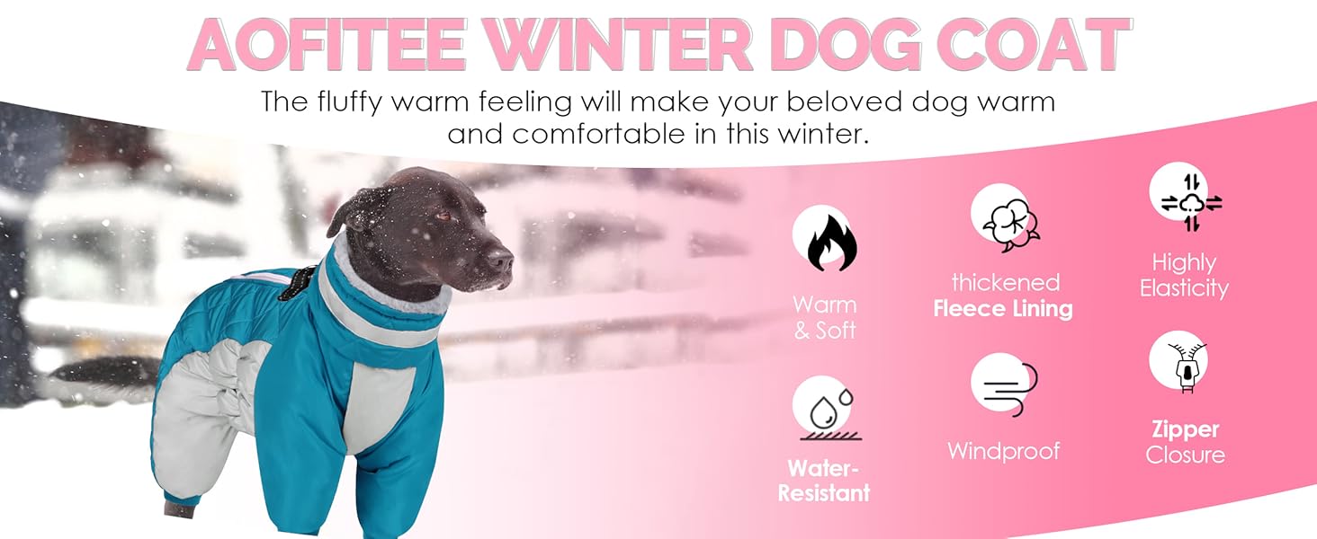 dog jacket with harness built in