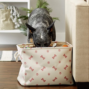 Bone Dry Paws & Bones Storage Bin (Color: Rose, Shape: Rectangle)