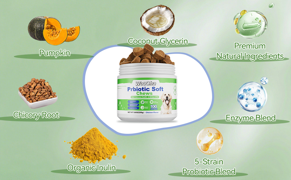 digestive enzymes for dogs probios for dogs dog digestive support probiotic for dogs gut health