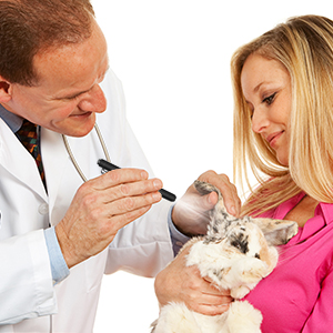 Small manufacture image 6