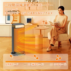 Amazon | 【ACCGUYS 2022冬向け全新モデル】ヒーター 電気
