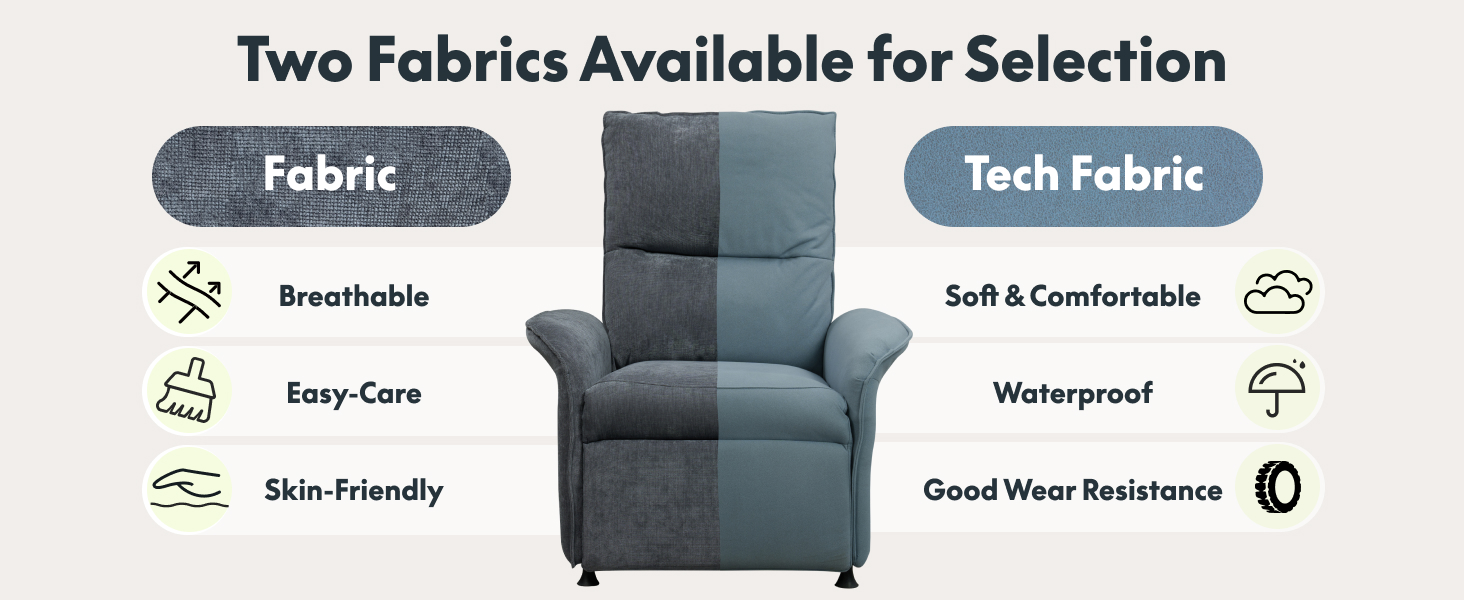 FLEXISPOT X2 Dual Motor Power Recliner Chair for Adults