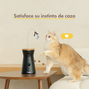 Cat FaaS_Arremesso de guloseimas