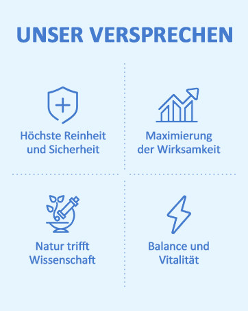 un graphique illustrant les différents types d'assurance et d'assurance