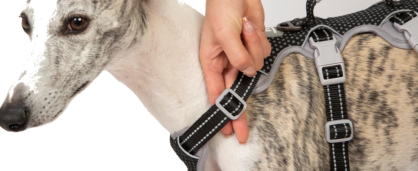 Huntboo Escape Proof Dog Harness, Secure Dog Harness No Escape, Fully