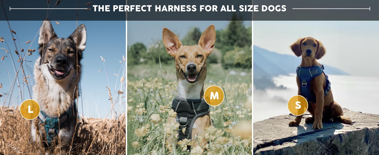 adventure harness is the perfect dog harness for all breeds and sizes
