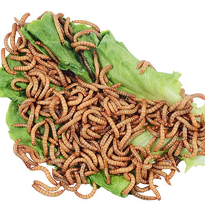 Raised by vegetables & fresh fruit