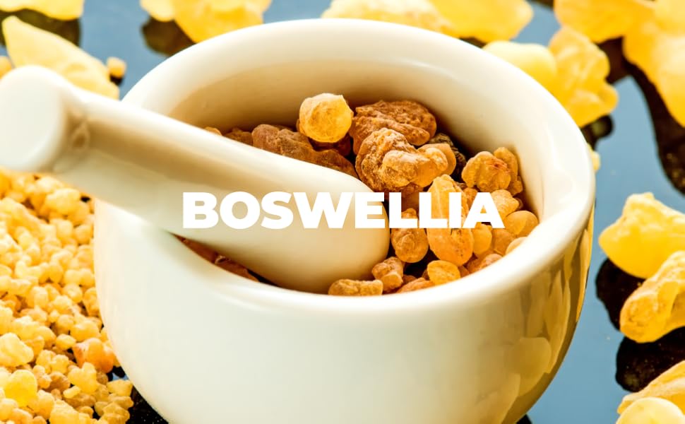 organic turmeric curcumin boswellia extract ginger bioperine joint & immune support digestive health