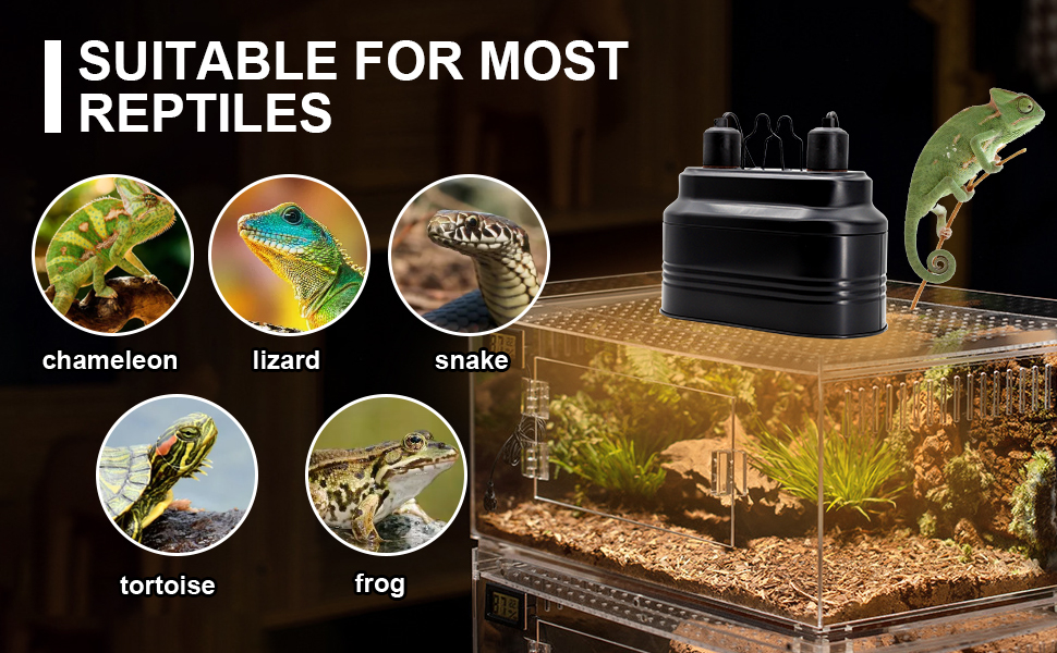 FOUDOUR Dual Reptile Light Fixture Deep Dome Reptile Heat