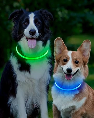 Dog Collar for Dog