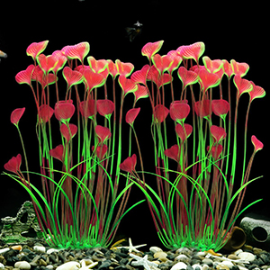 aquarium decorations