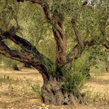 Small manufacture image 5